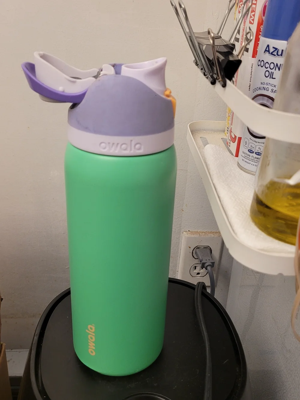 Owala Stainless Steel Water Bottle in Green with Purple Lid 32oz